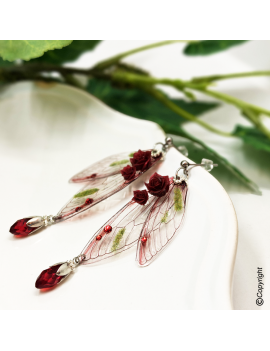 Dragonfly of the Enchanted...