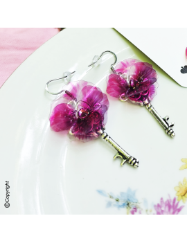 Wonderland Pansy