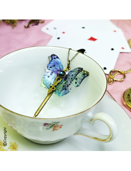 Papillon Wonderland