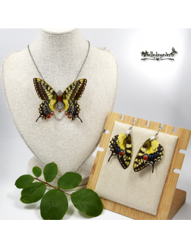Papillon Machaon