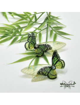 Papillon Monarque des Forêts